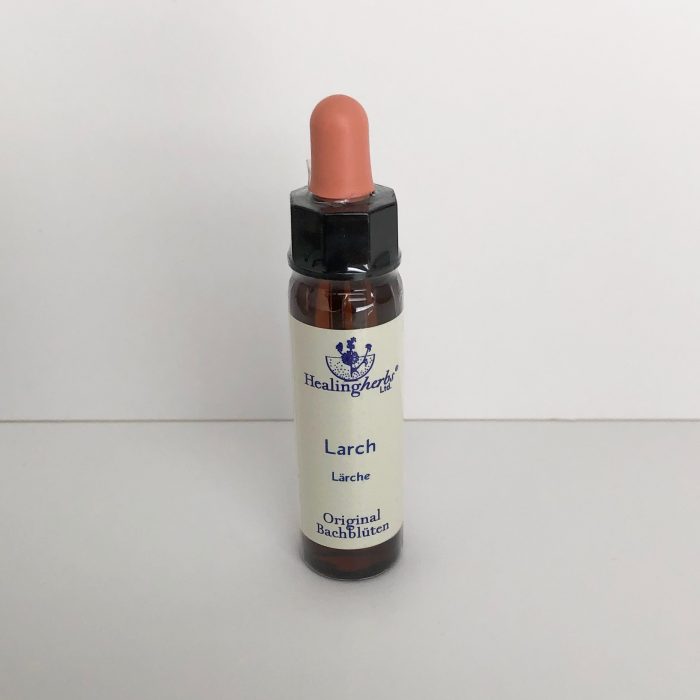 Larch