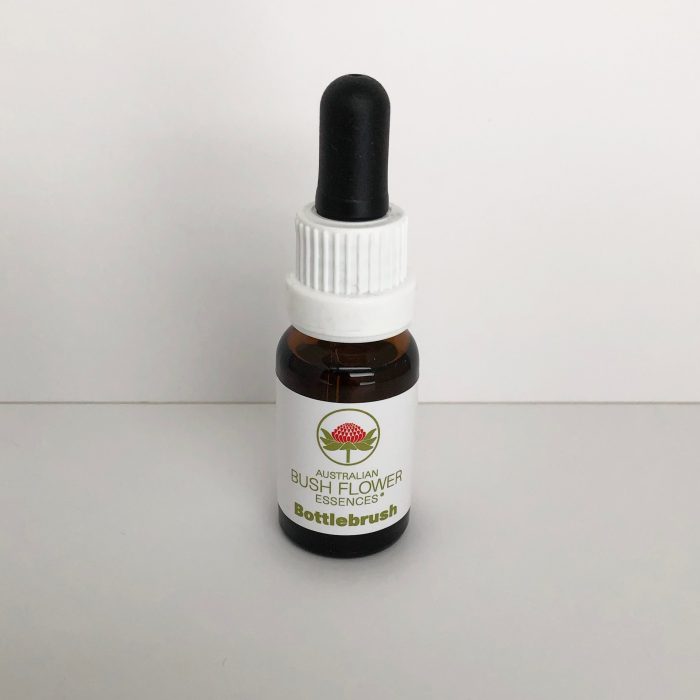 Bottlebrush   15 ml