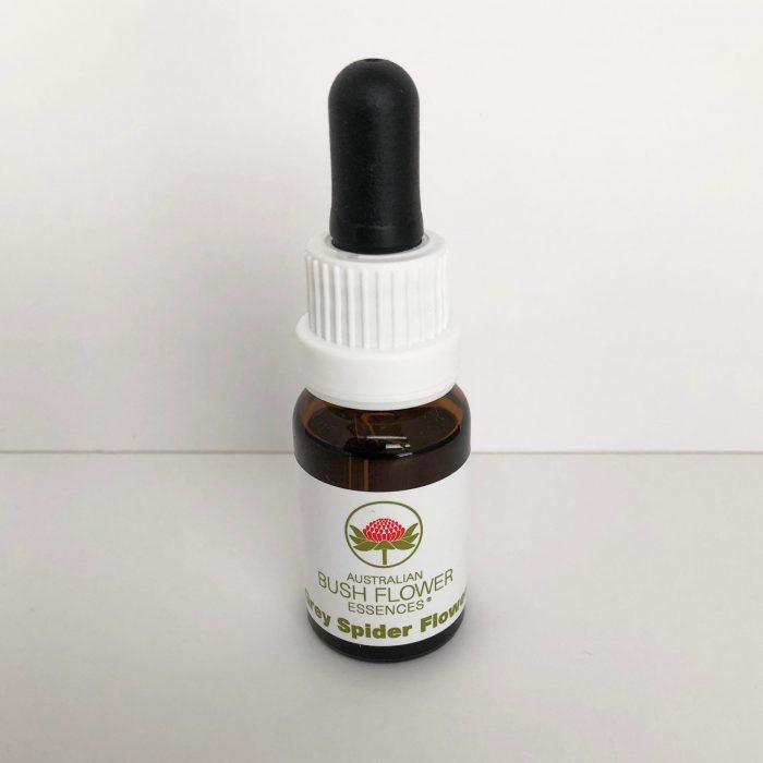 Grey Spider Flower 15 ml