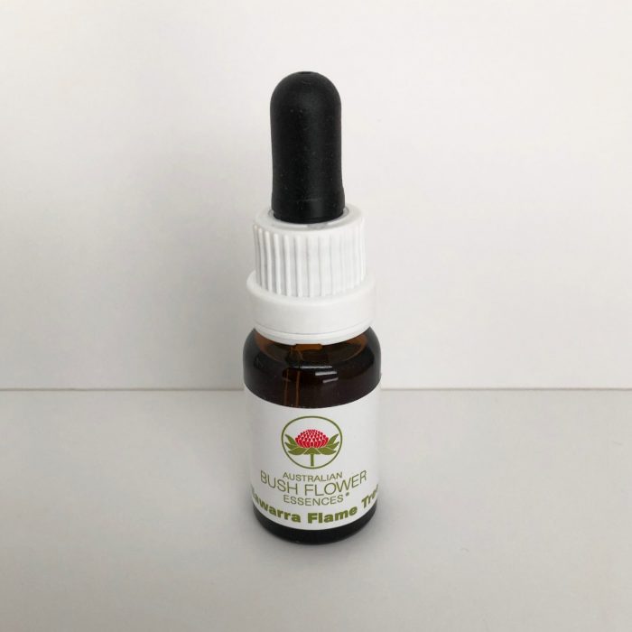 Illawarra Flame Tree 15 ml