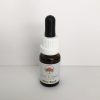 Mint Bush 15 ml