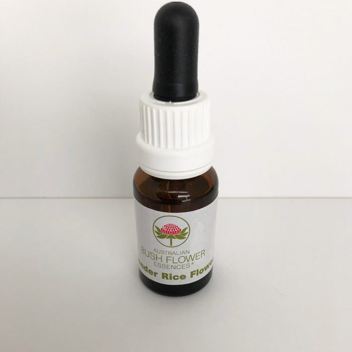 Slender Rice Flower 15 ml