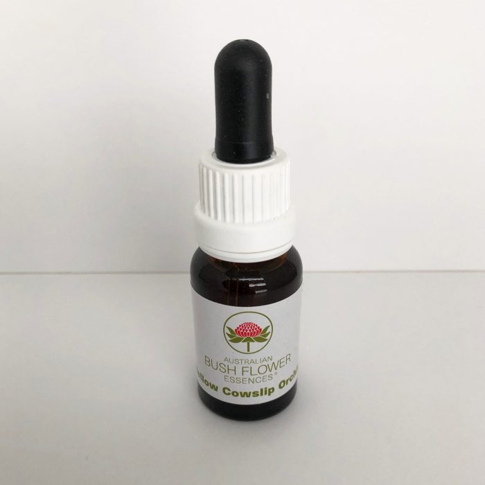 Yellow Cowslip Orchid 15 ml