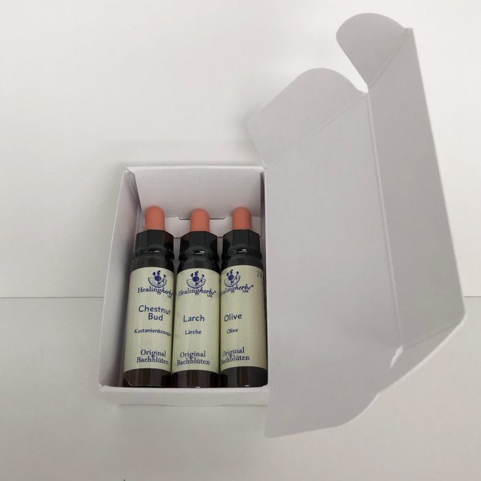 SET da personalizzare - fiorifabi.ch - immagine 4