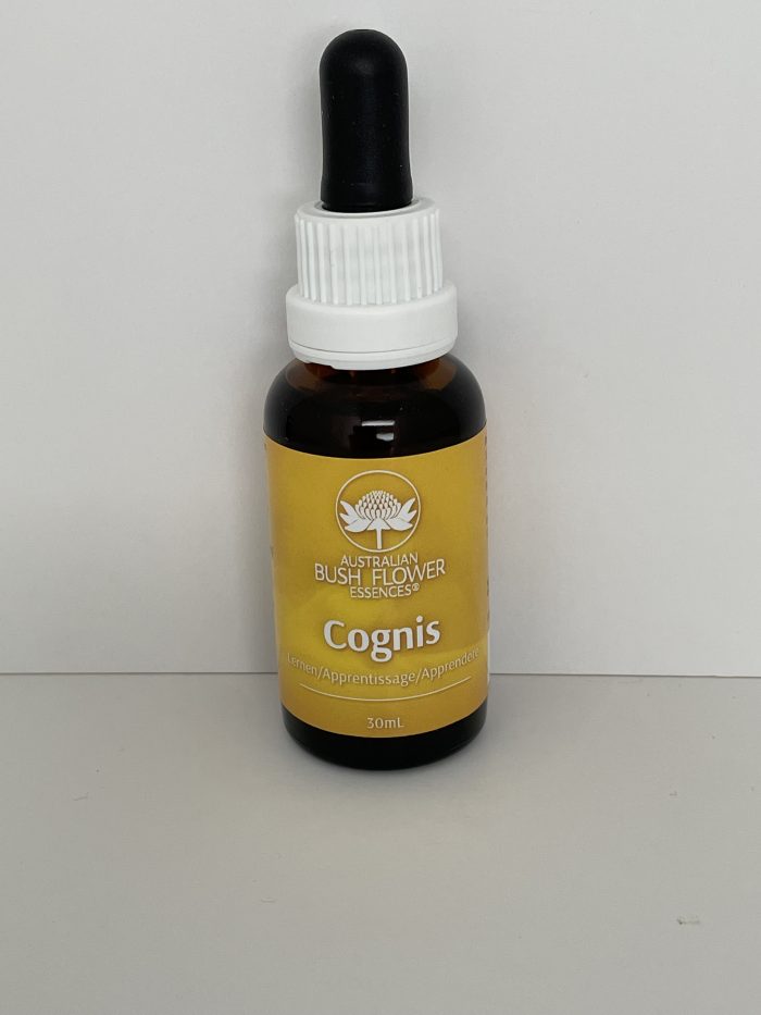 Cognis-Essenze (Concentration) 30 ml