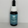 Creative-Essenze (Fluent Expression) 30 ml